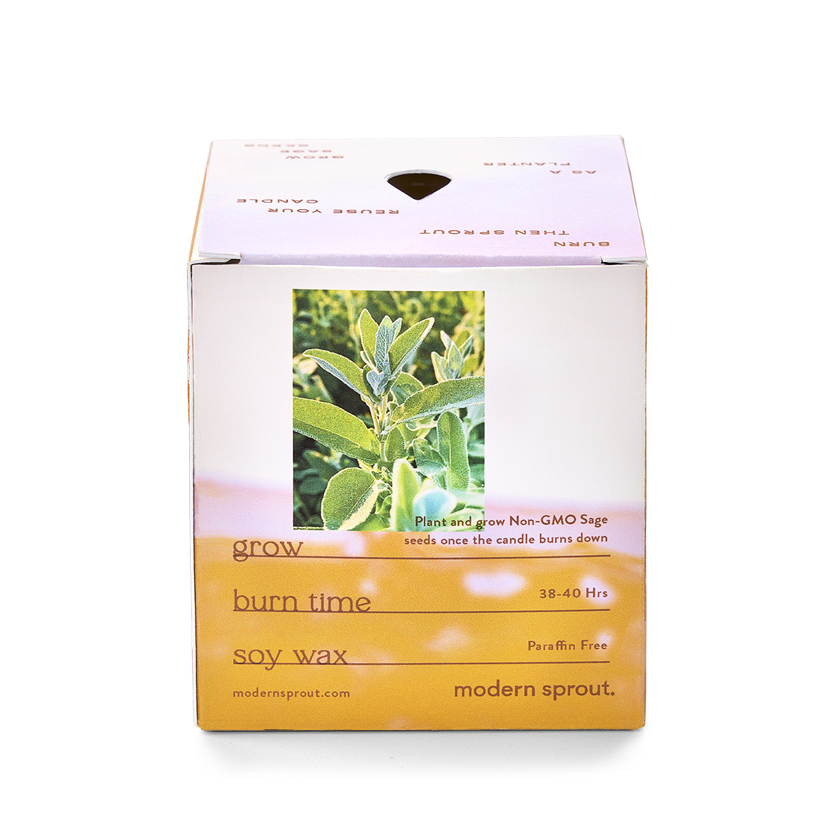 Modern Sprout® Garden Vibes Candle/Planter 14