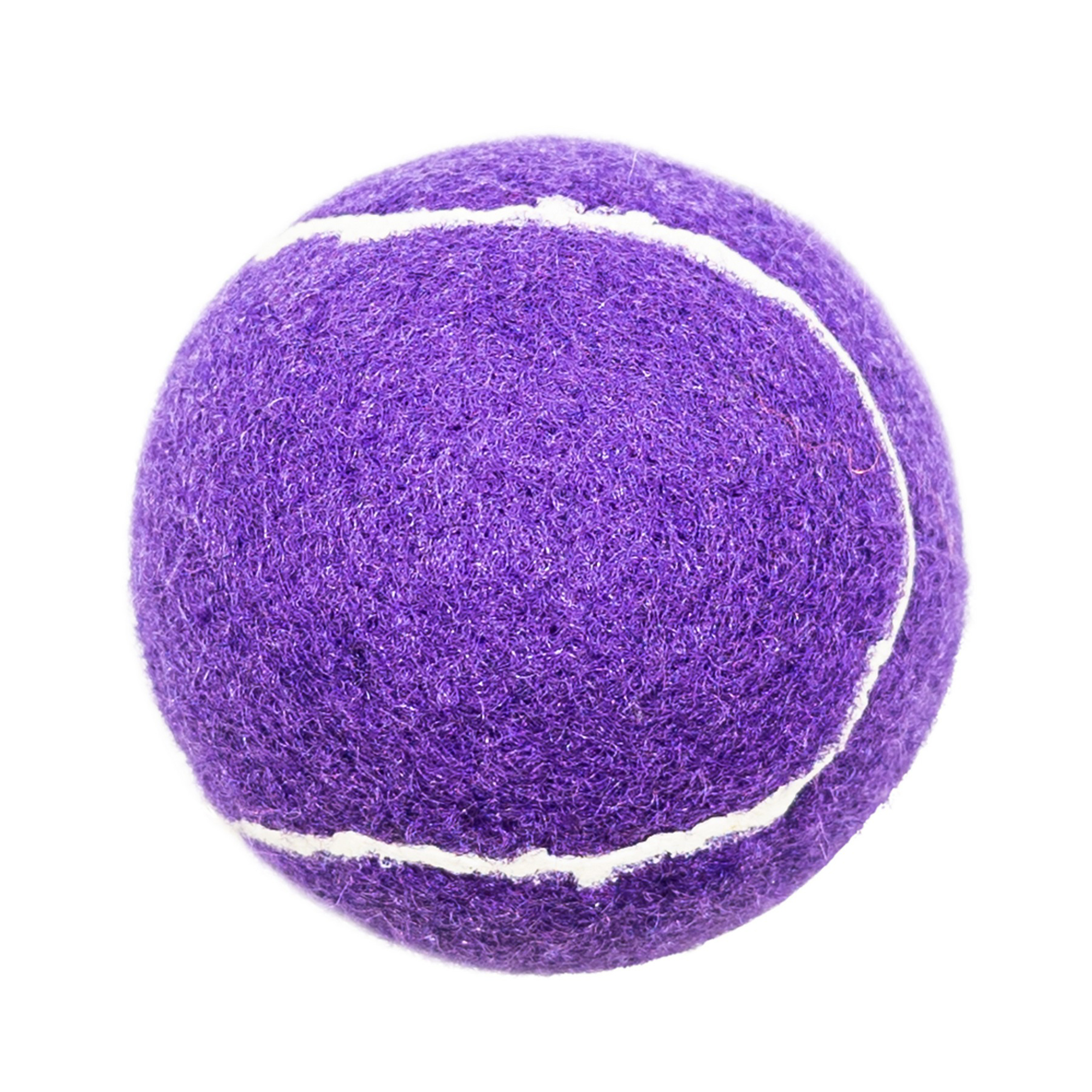 Durable Pet Fetch Toy Tennis Ball Outdoor Fun Dog Exercise 10