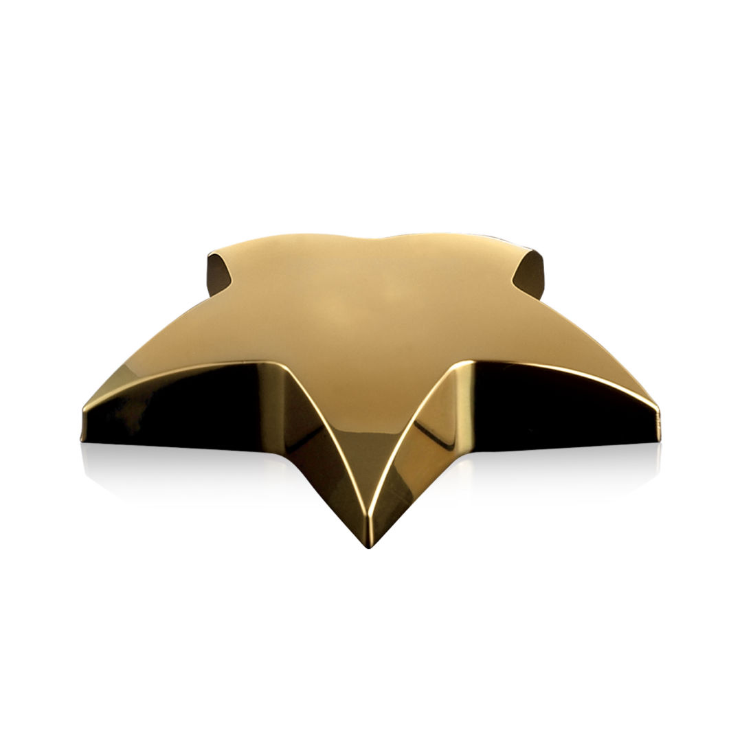 Hollister Star Paperweight 3