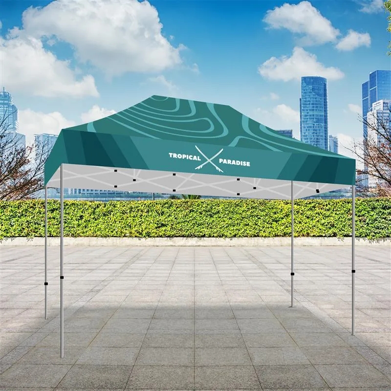 10x15 Premium Tent w/ Full Color Canopy 3