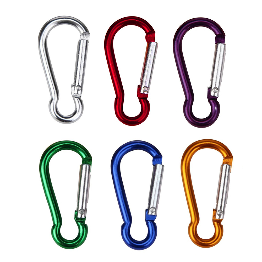 Refined Carabiner Clip Keychain 15