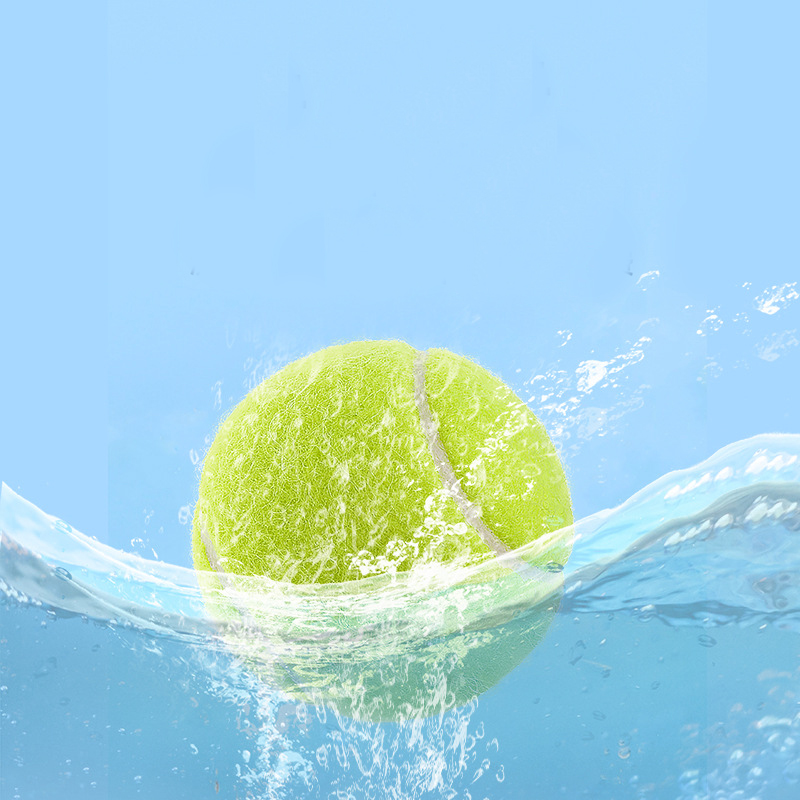 Squeaky Tennis Balls 7