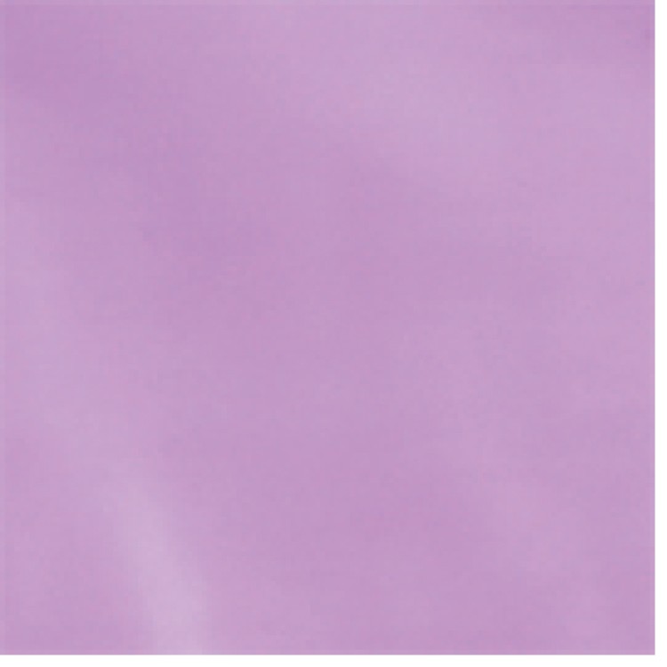 Non Reinforced HDPE Frosted Die Cut Bag 7
