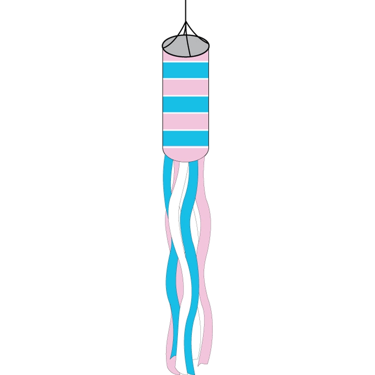 Transsexual Windsock 1