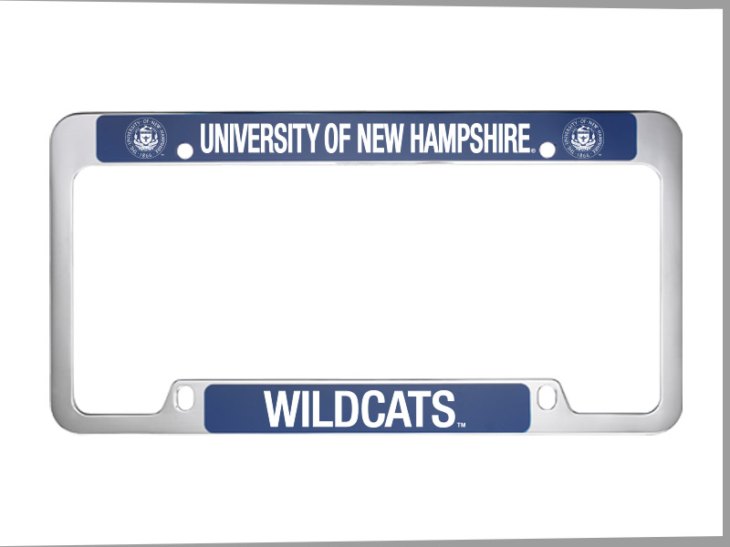 Brushed Zinc and Colored License Frame