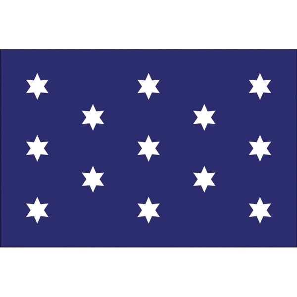 Special Historical Stick Flag - Washington's Commander 1