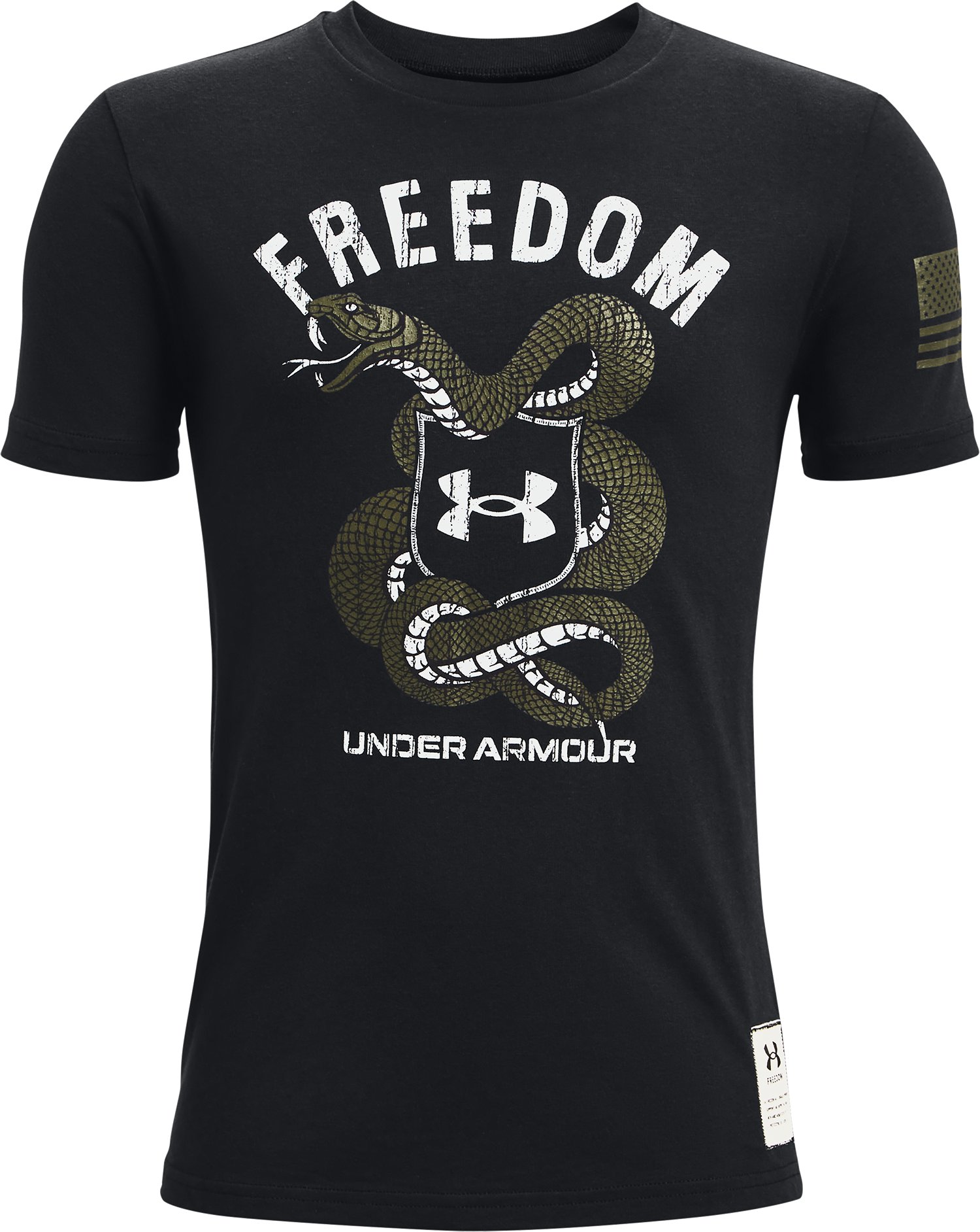 Boys' UA Freedom Fun T-Shirt 2