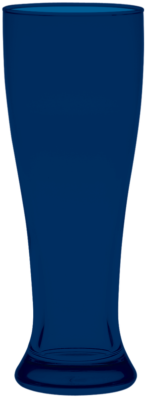 16 oz. Pilsner Glass 46
