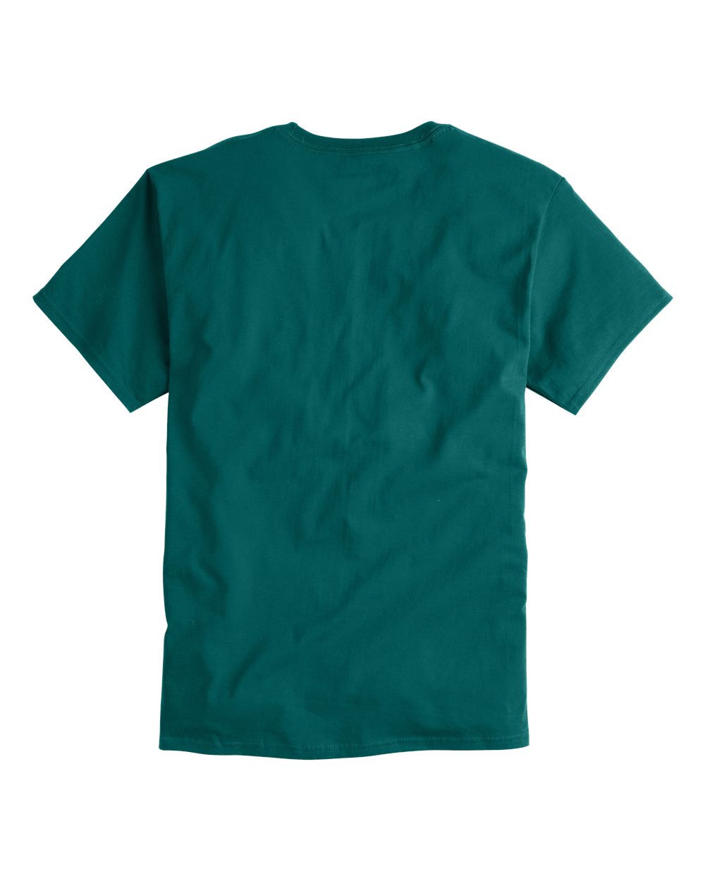 Unisex Classic T-Shirt - T425 171