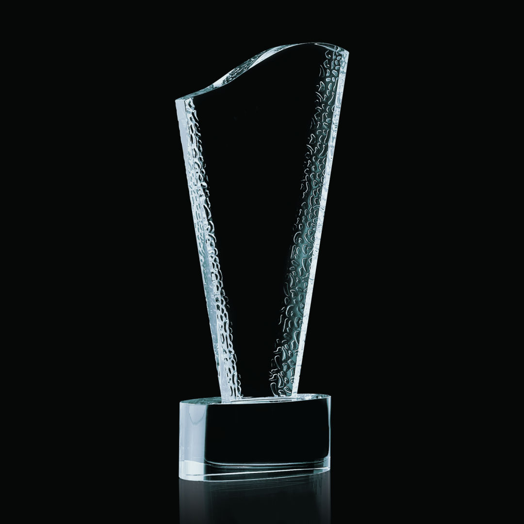 Maddox Award 3