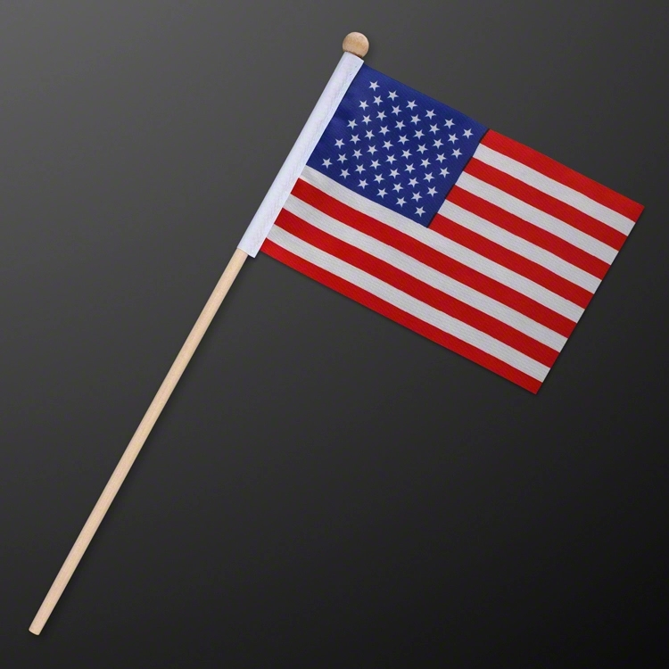 NON-Light Up Small Flags 4