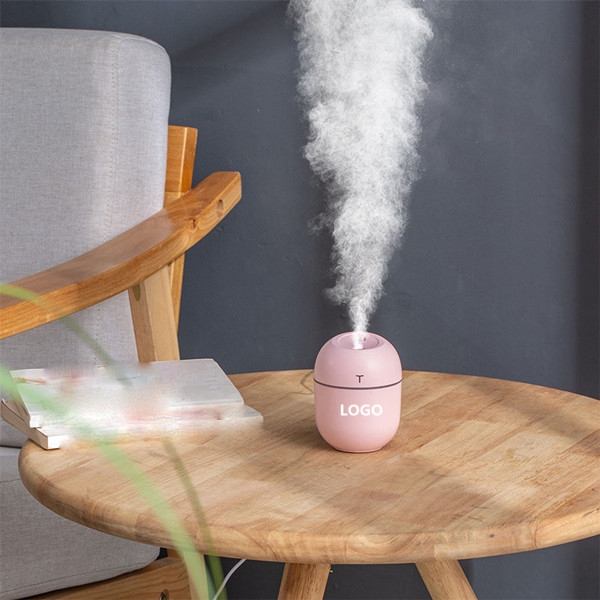 Mini Egg Humidifier 2