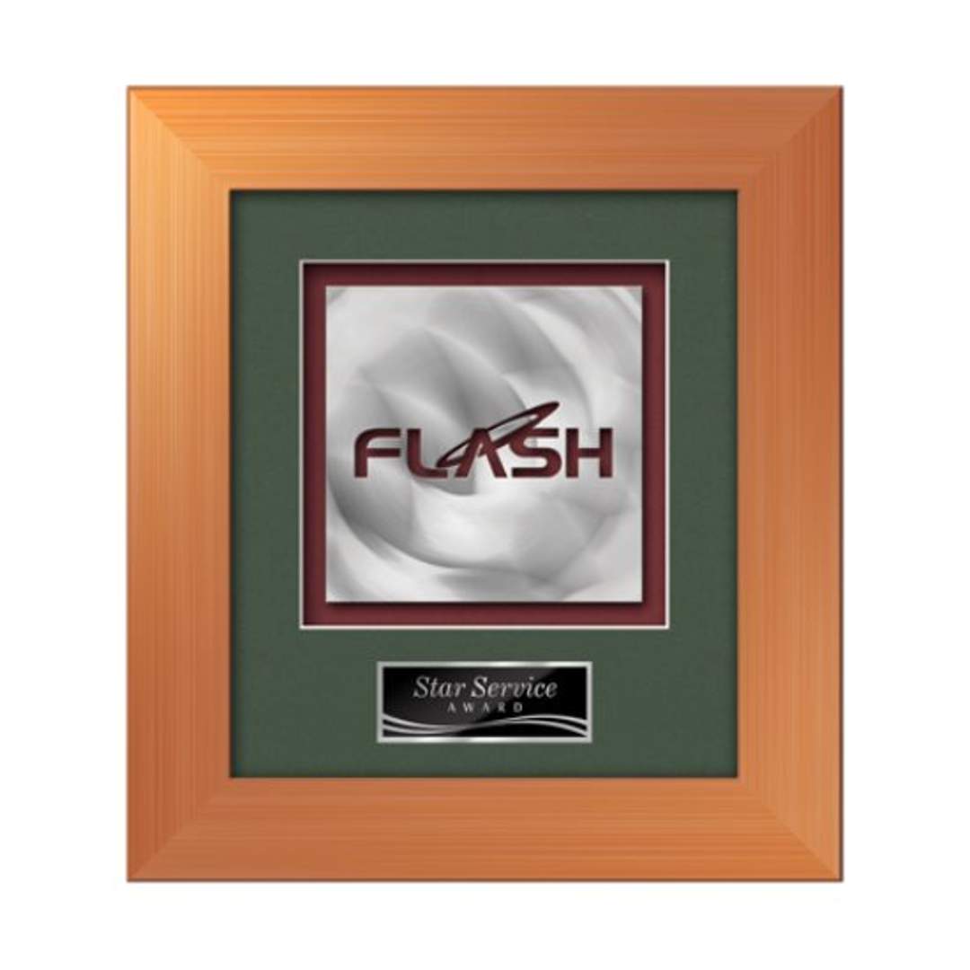 Premier Aquashape™ Award - Bronze 4