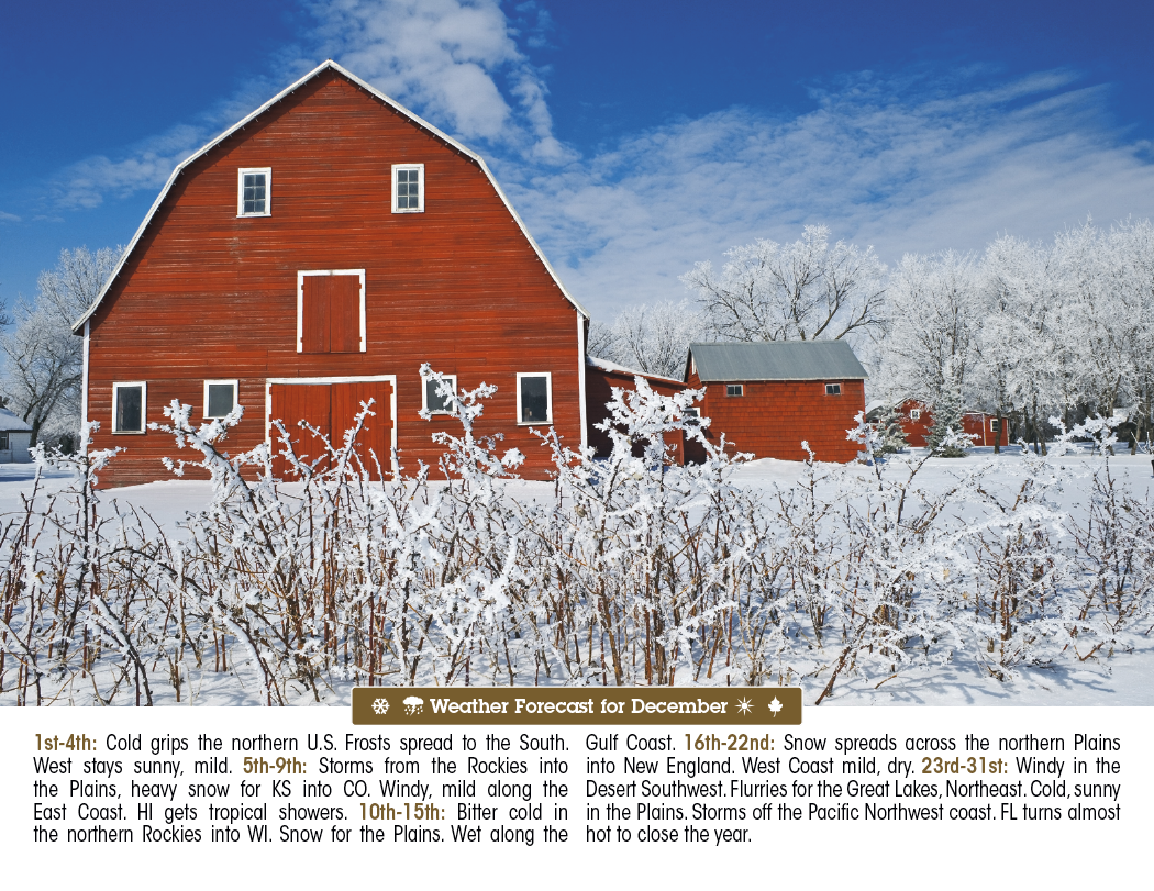 Triumph® Calendars Scenic Almanac 43
