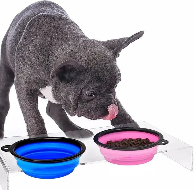 Collapsible Travel Bowls for Dogs Cats Pets 3