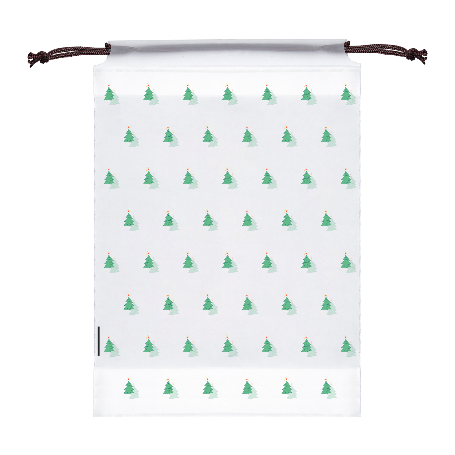 Clear PE Shoe Bags for Travel 3