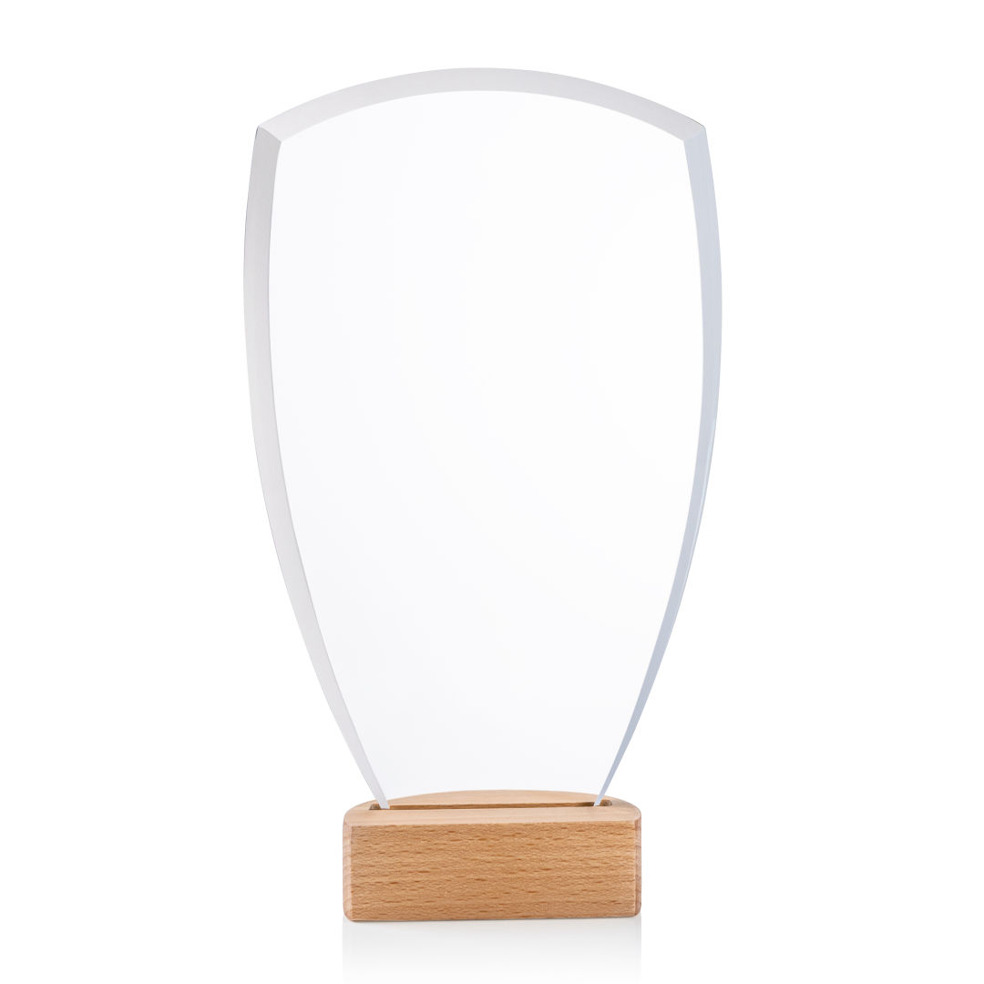 Hendrick Award 4