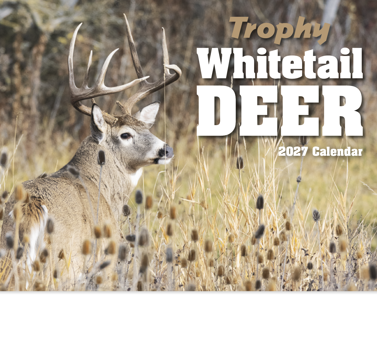 HotLine® Products Trophy Whitetail Deer Appointment Calendar - Stapled 64