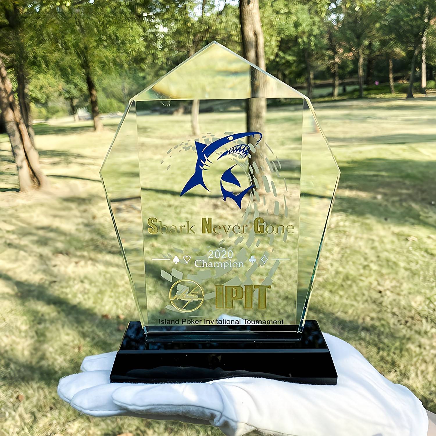 Optical Crystal Trophy 2
