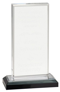 8" x 5" Silver Beveled Rectangle Acrylic Award 2