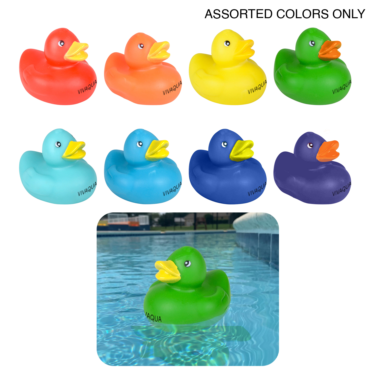 Colorful Duck 2