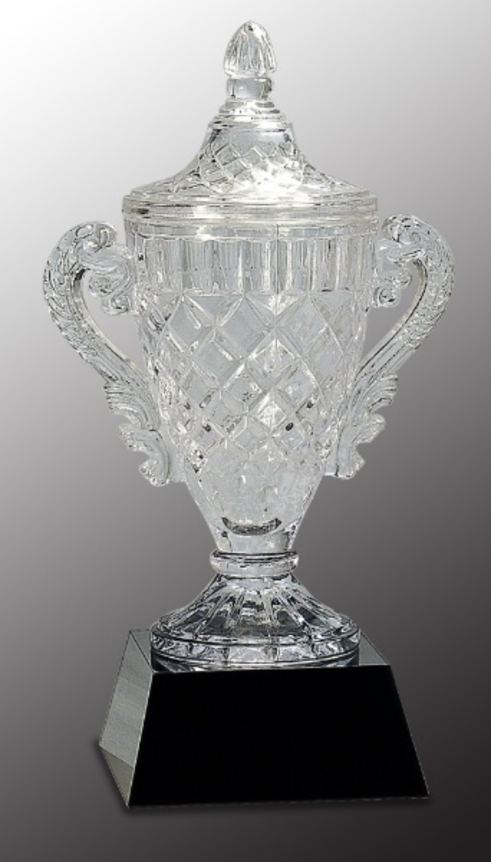 14" Crystal Cup on Black Pedestal Base Crystal Award 2