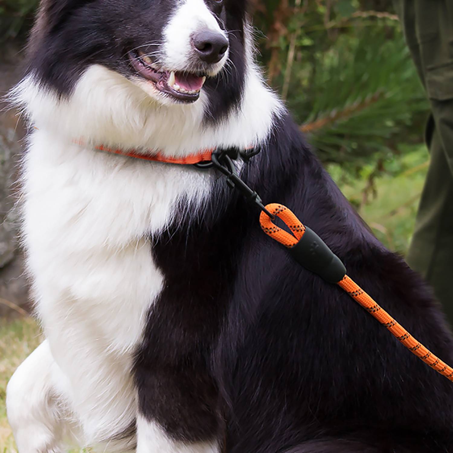 Dog Leash with Padded Handle & Reflective Threads 3