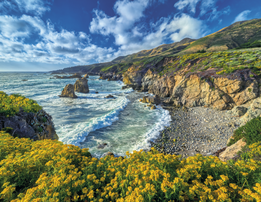 HotLine® Products California Appointment Calendar - Stapled 21