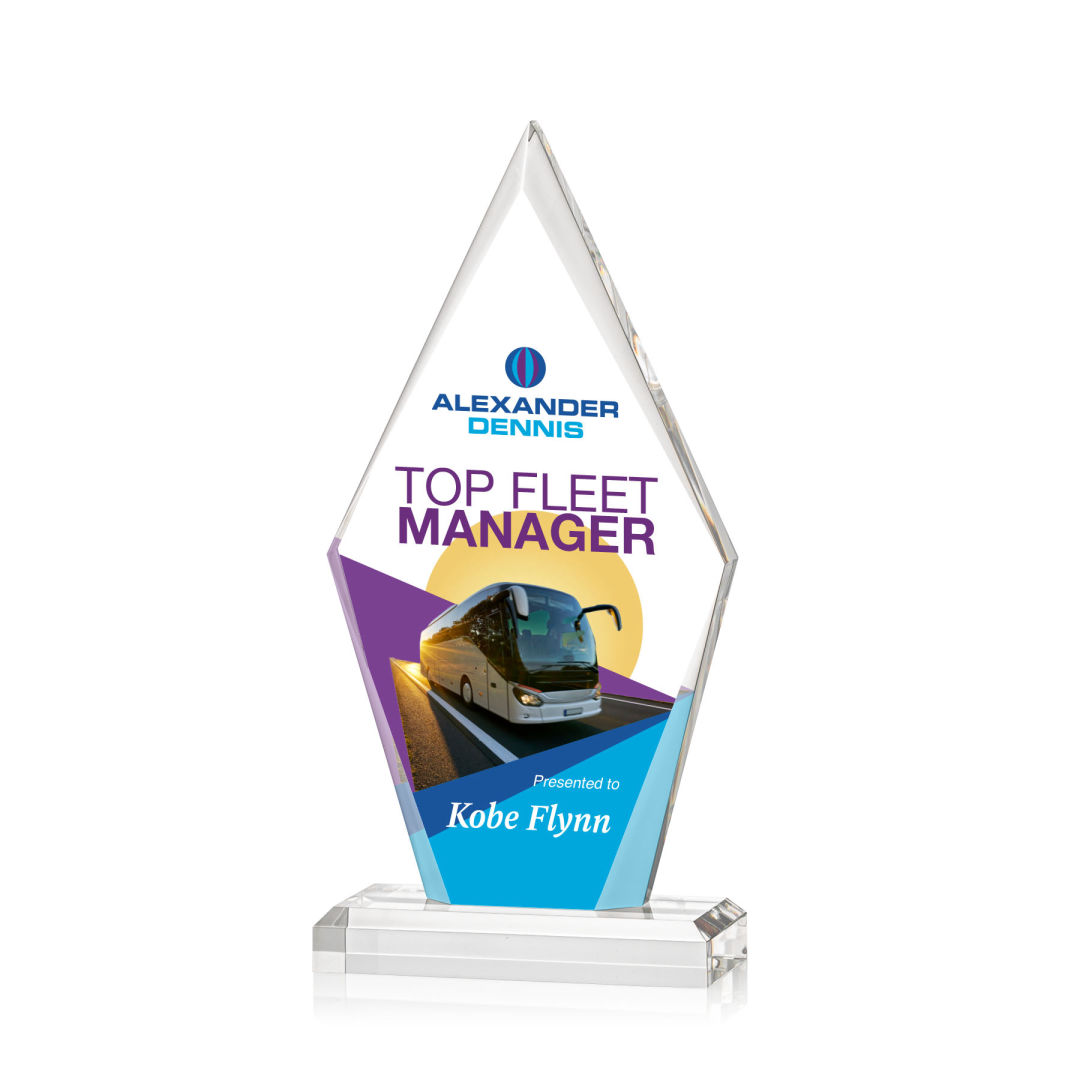 Palmer VividPrint™ Award 6