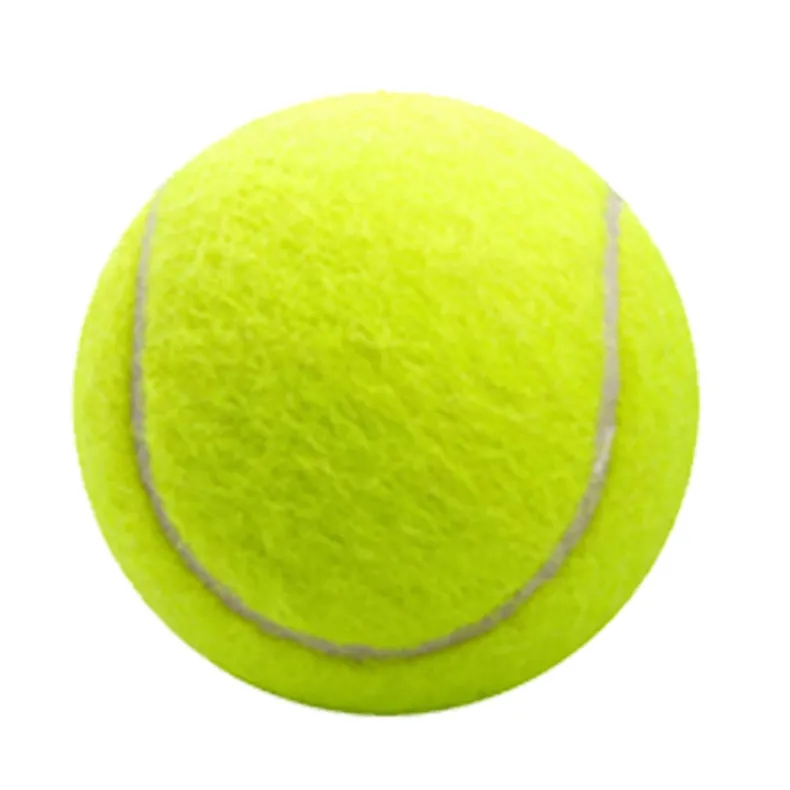 Pet Fetch Toy Tennis Ball 1