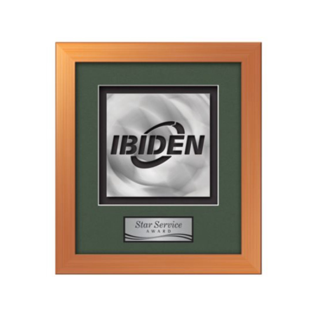 Eldridge Aquashape™ Award - Bronze