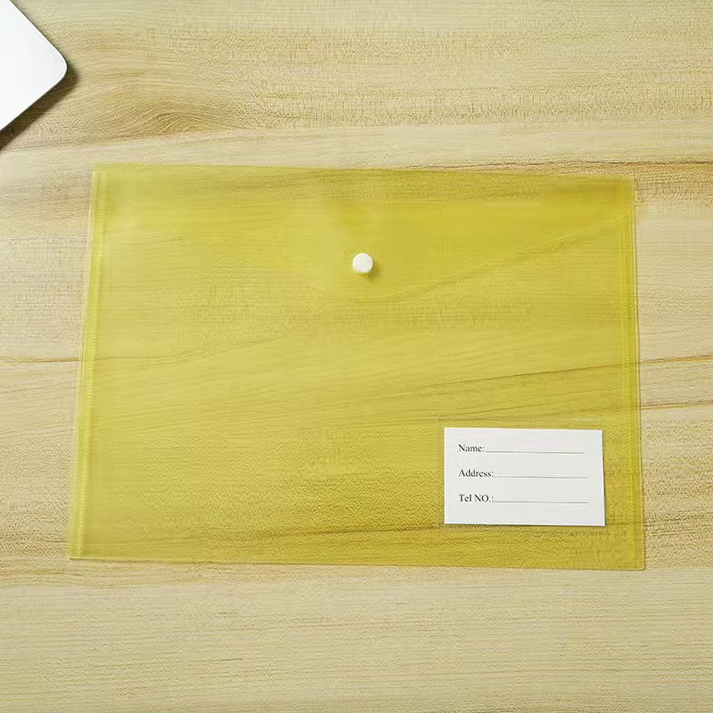 Transparent PP Material Folder 4