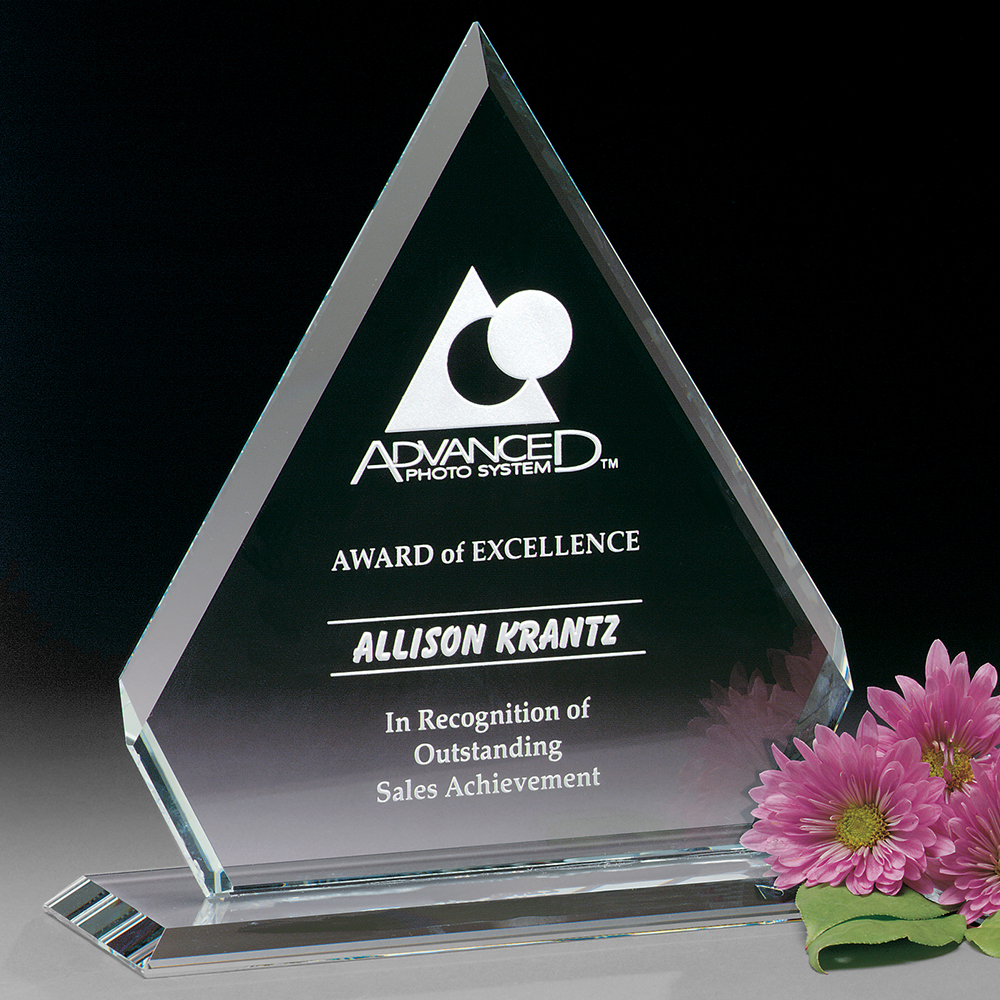 Dynasty Award 11