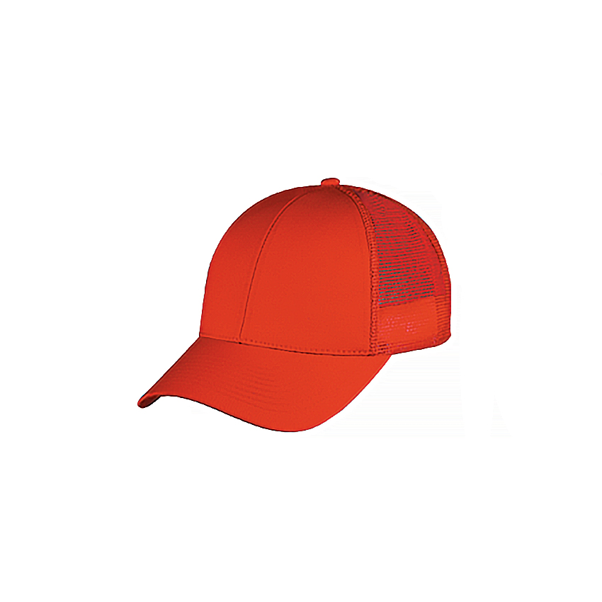 Pennsylvania Low Profile Trucker Hat 4