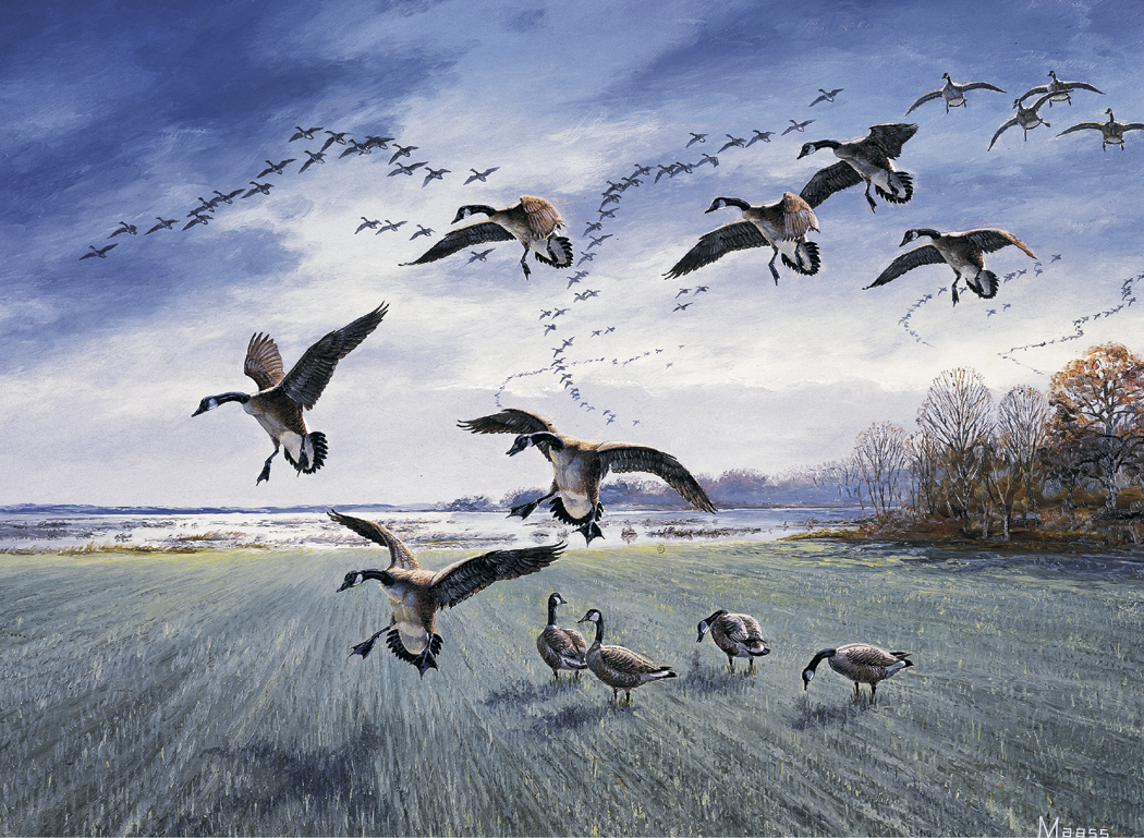 HotLine® Products Maass Wildfowl® Executive Calendar 26