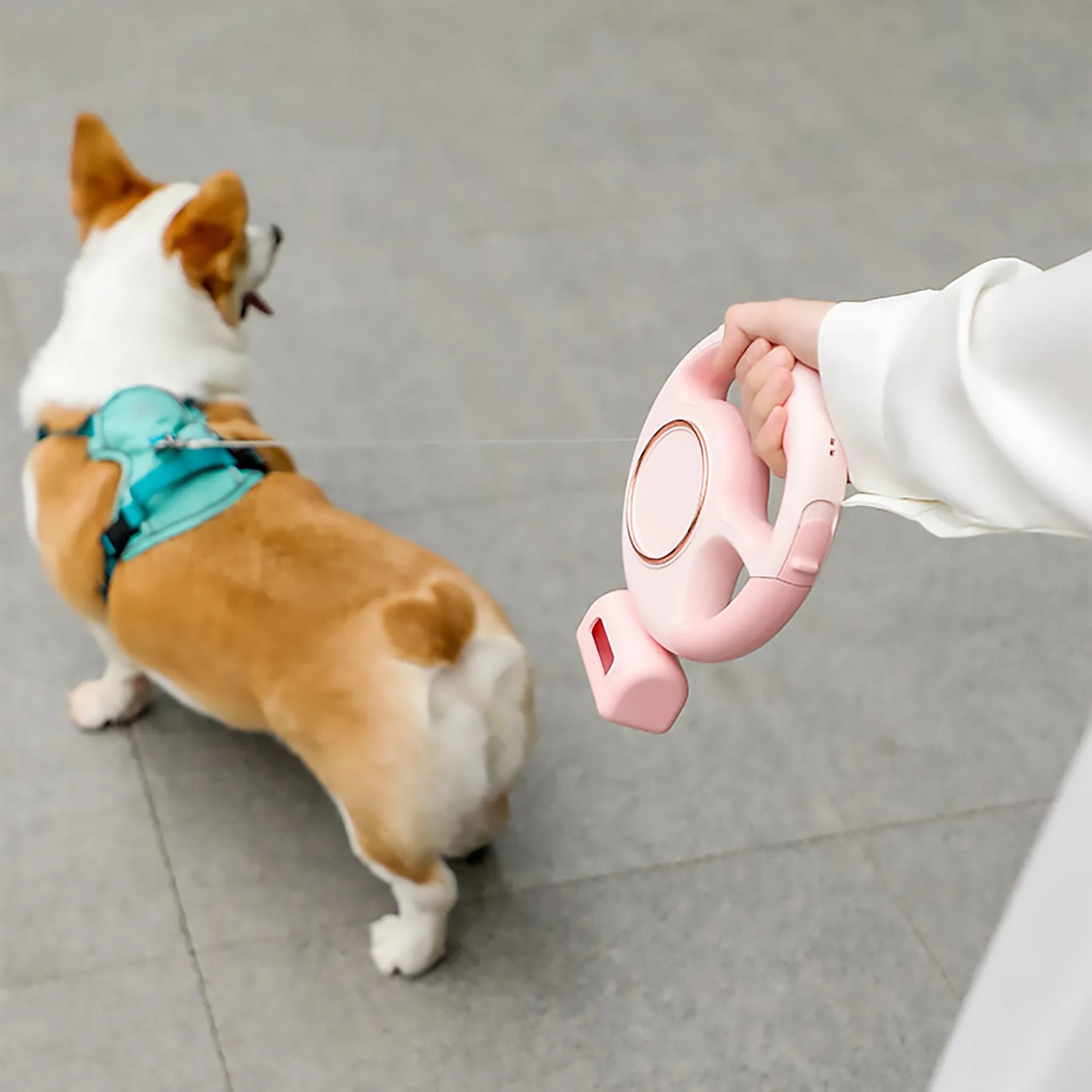 Abs Multifunctional Pet Leash 3