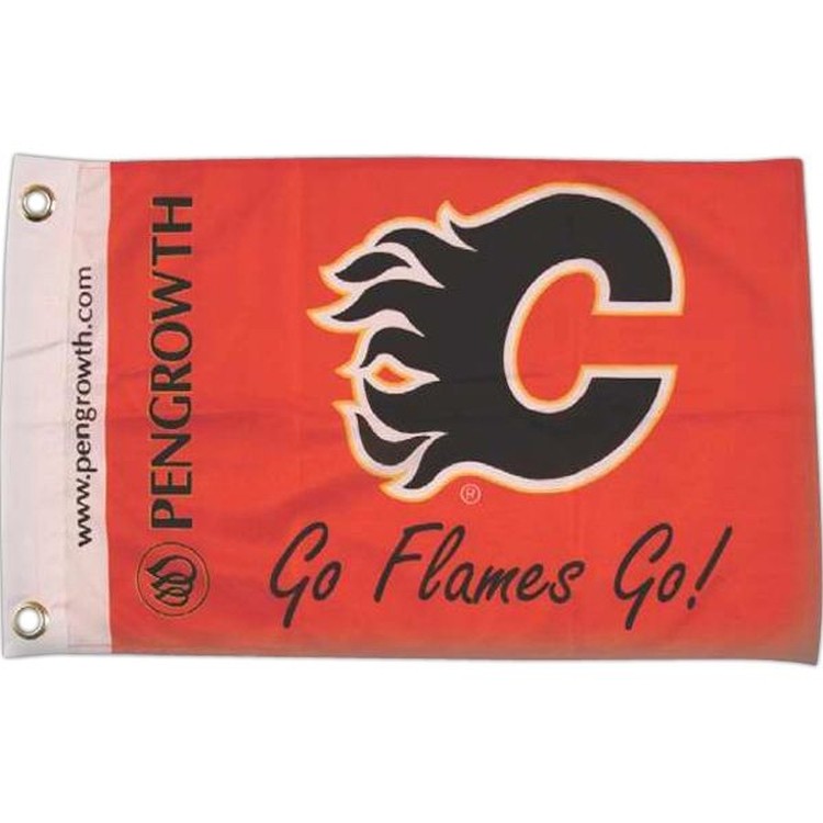 Fanatic Flags 2