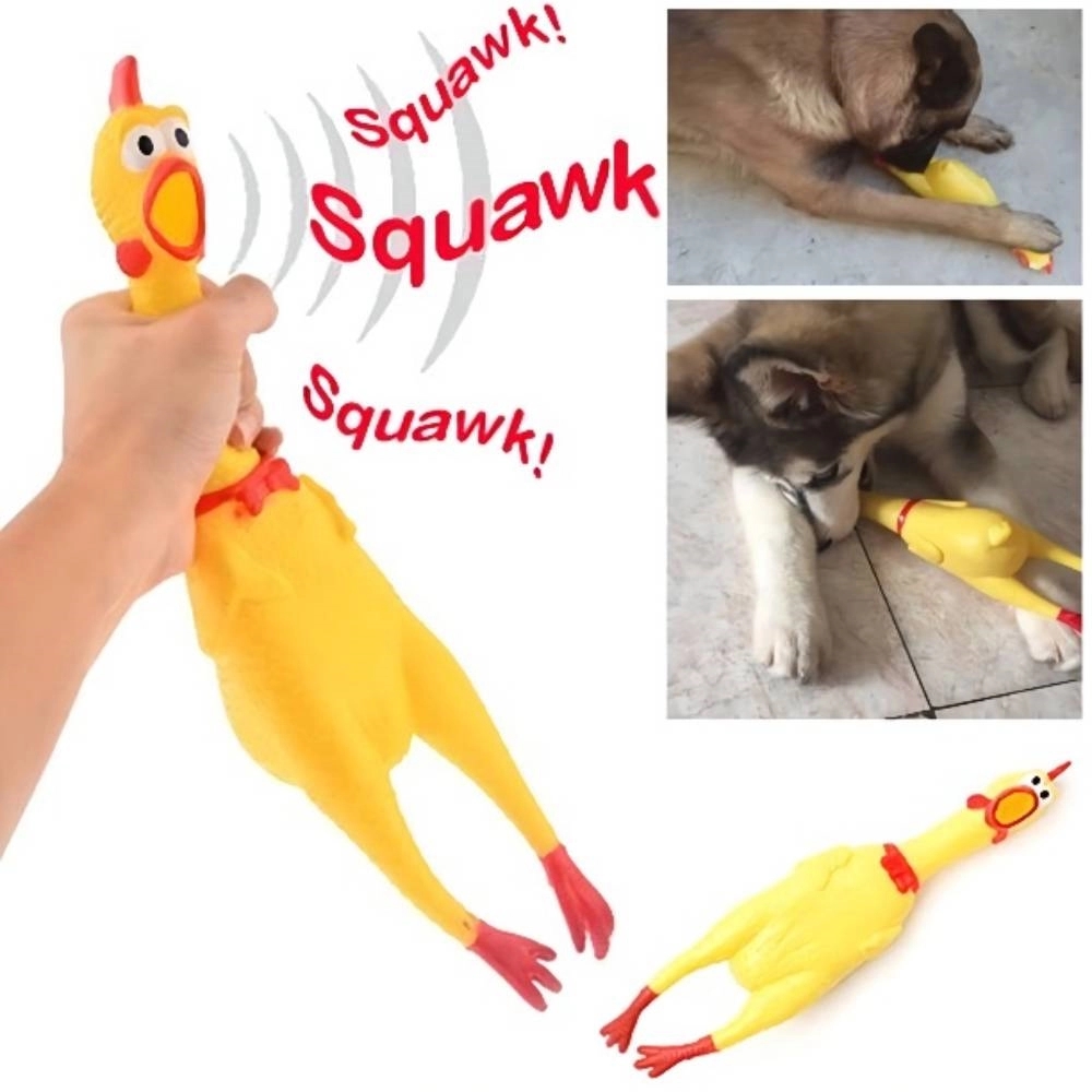 Squawking Chicken Dog Toys 1