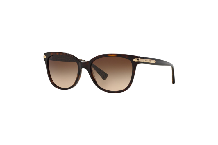 Coach Women's HC8132 Sunglasses 1