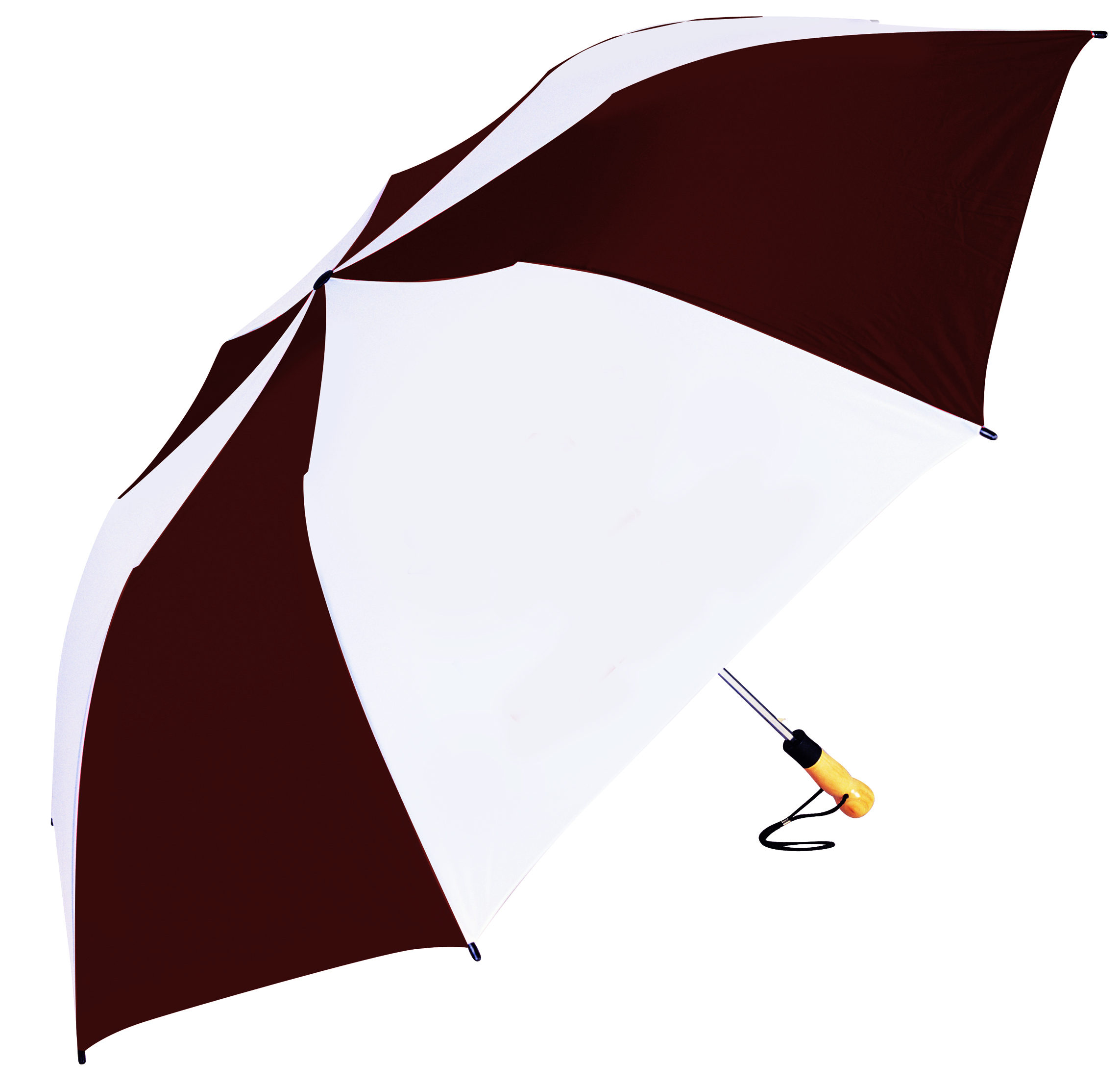 The Big Storm (TM) Umbrella 1