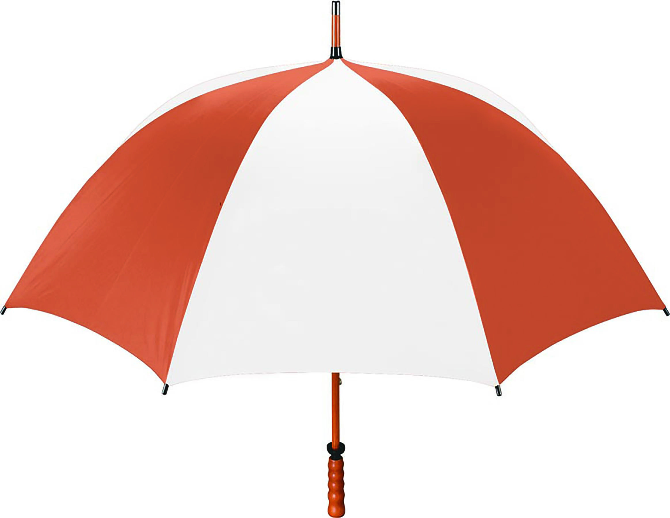 The Eagle Umbrella 38