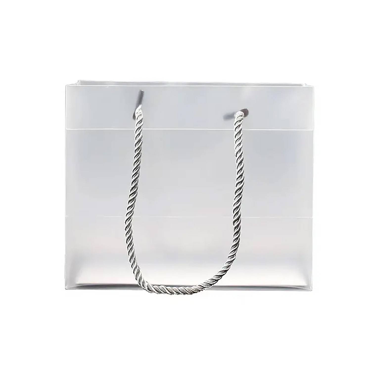 Transparent PP handbag 4