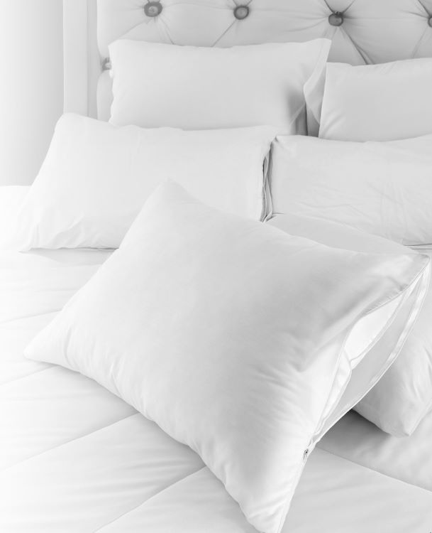 Zipper Queen Pillow Protector 1