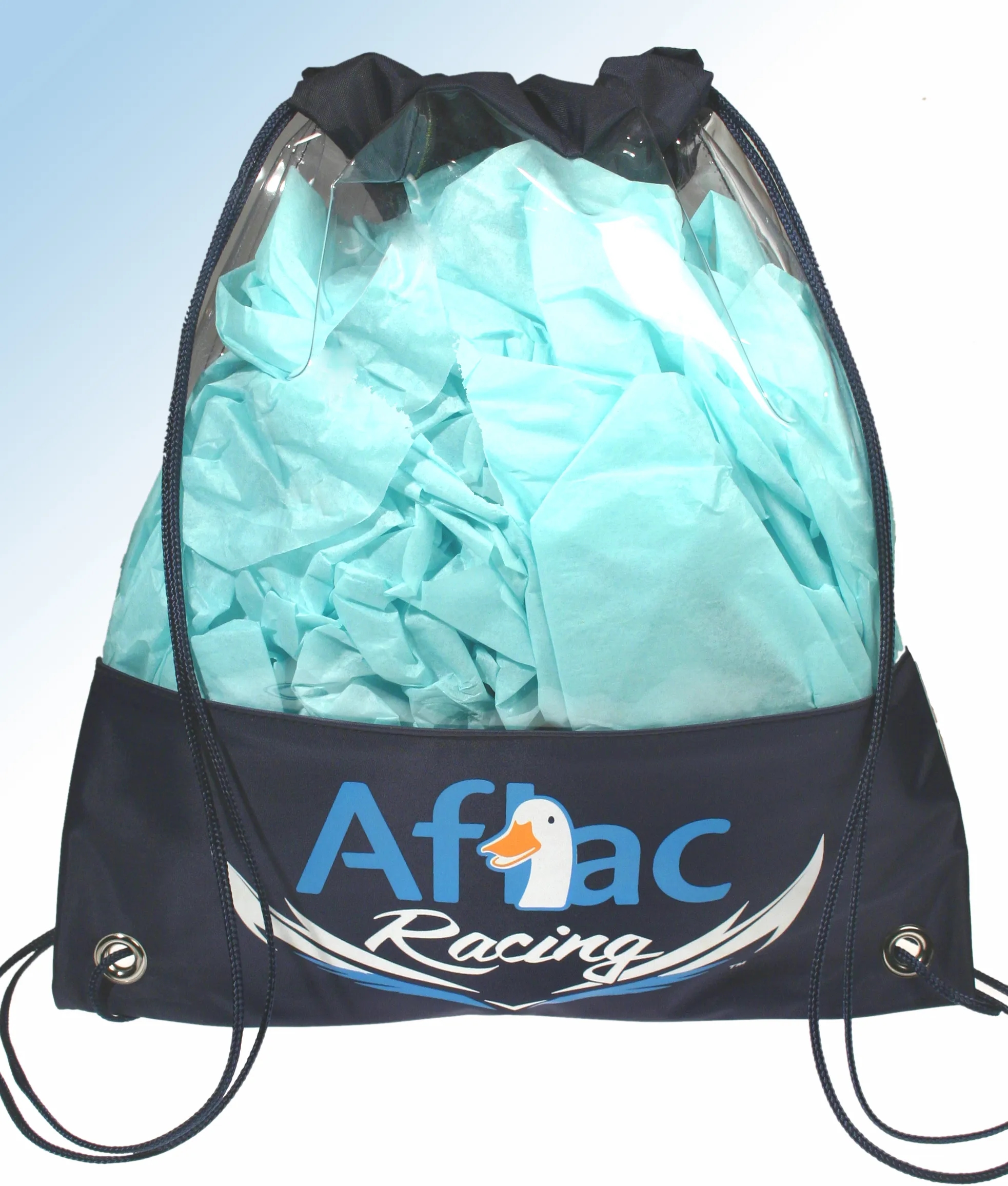 Clear Vinyl Backpack 3