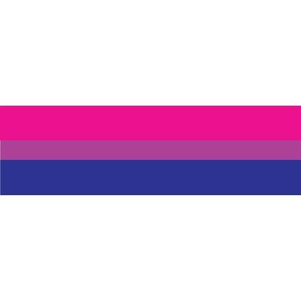 Bisexual Window Decals 3" x 10" 2