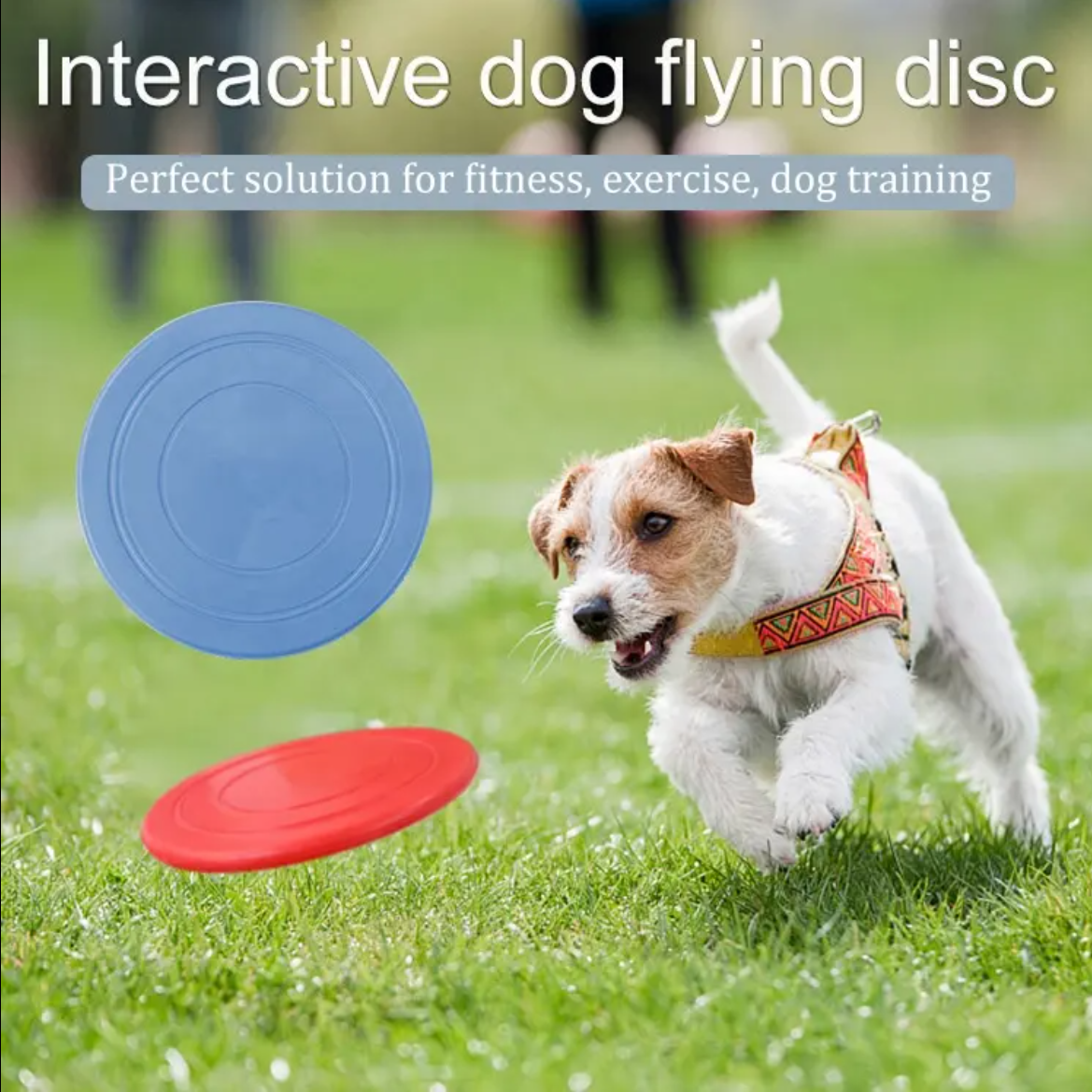 7" Pet Silicone Flyer Disc Toy 4