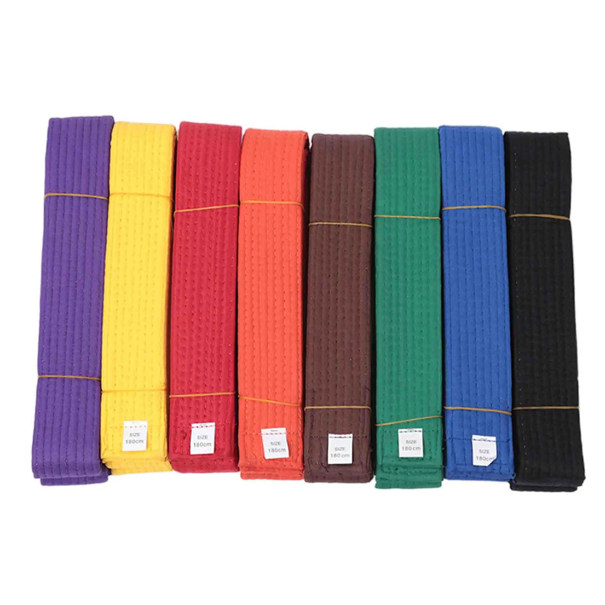 Embroidered Taekwondo Belt 2