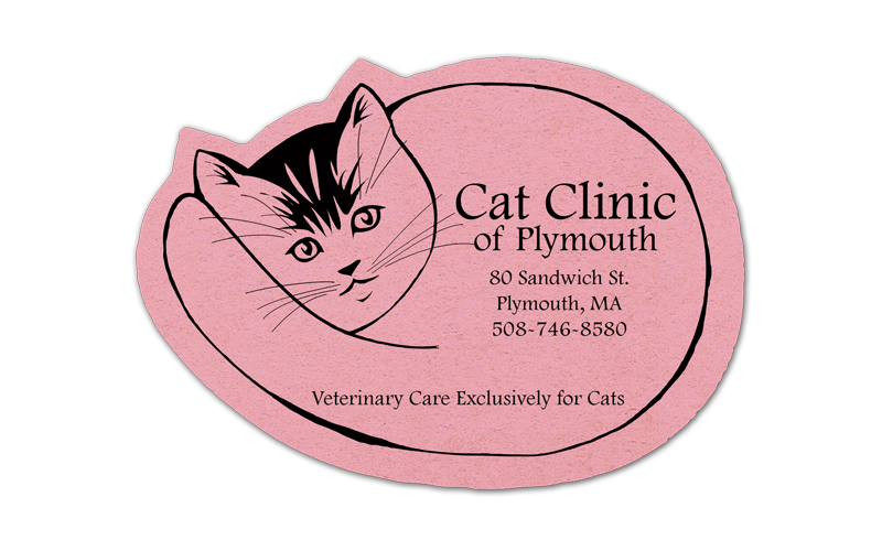 Cat Compressed Sponge 6