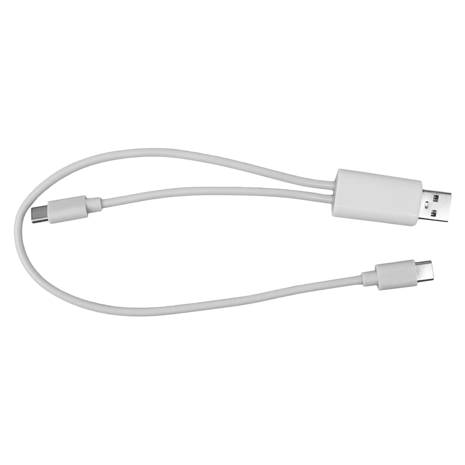 Dual Input A + C to C Accent Cable 2