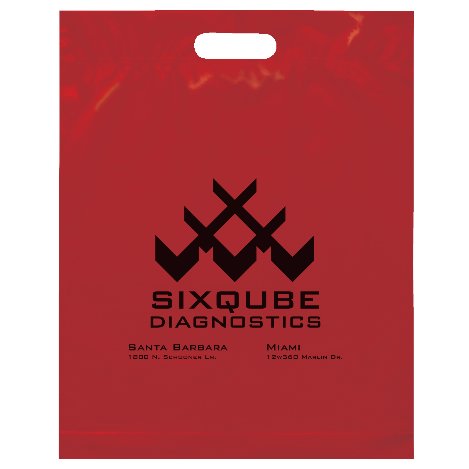 Die Cut Handle Bag - 15W x 19H x 3 - Flexo Ink Print 14
